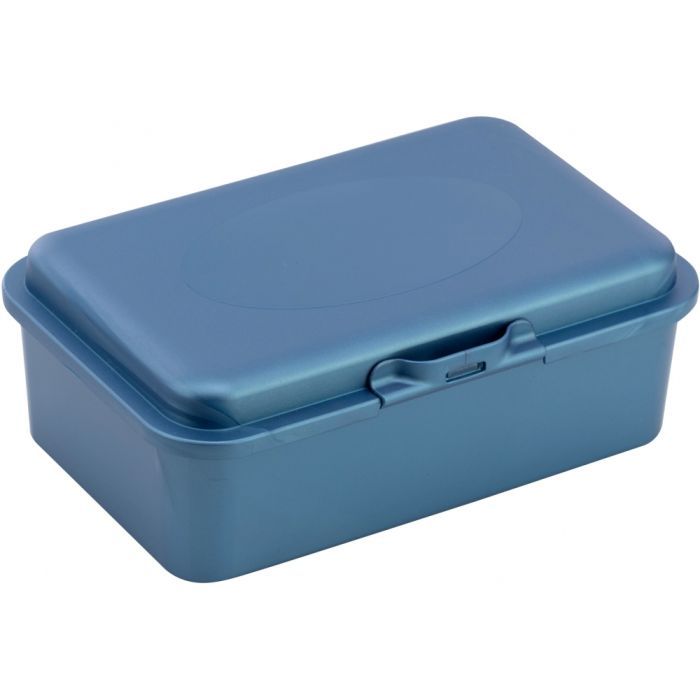 Ланч-бокс детский Economix SNACK 750 мл, синій метал Фото