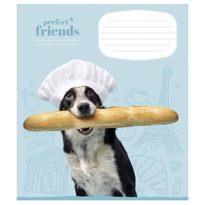 Тетрадь Школярик Perfect friends 12 листов клетка Фото
