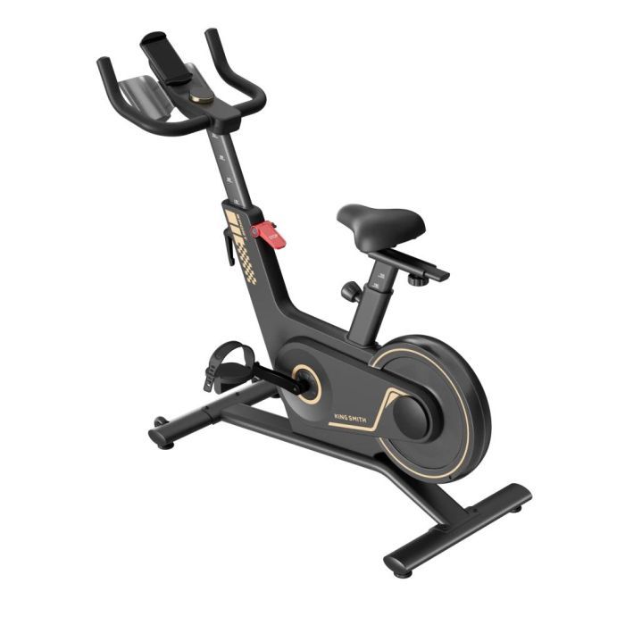 Велотренажер Kingsmith Spinning bike PB08S black Фото