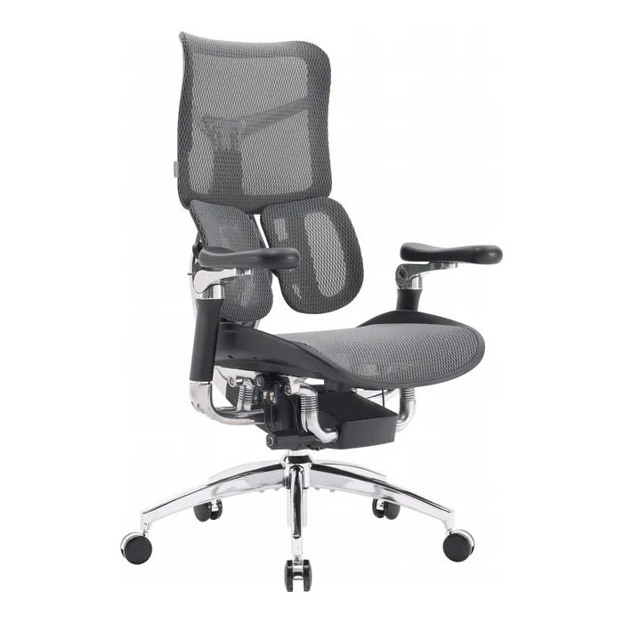 Офисное кресло Sihoo DORO S300 Mesh Dark Grey Фото